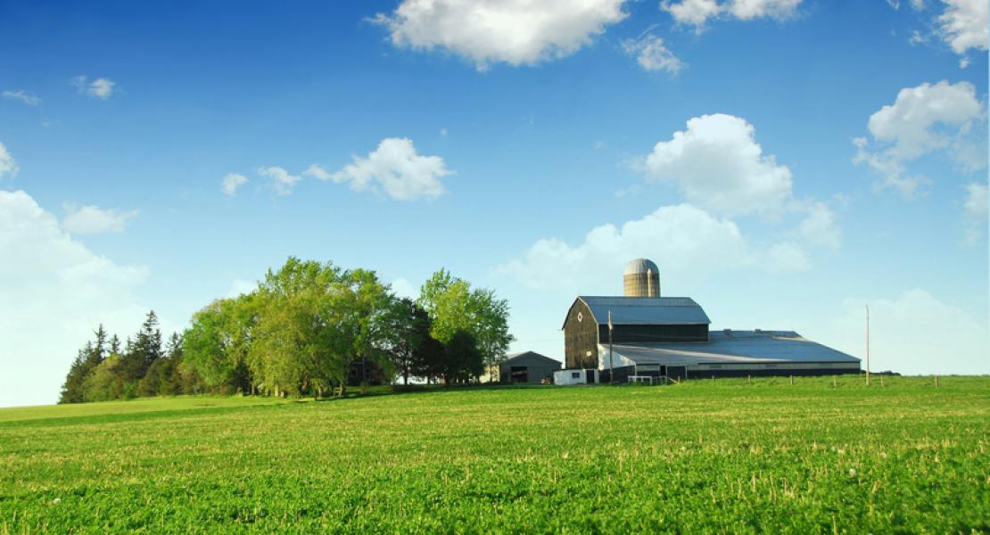 Agricultural Appraisals Ausable Appraisal Group